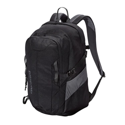 LogoWear Plus Patagonia Backpack 47911