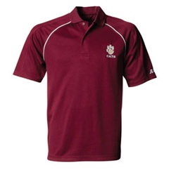 Custom n3168 Embroidered Polo Shirts